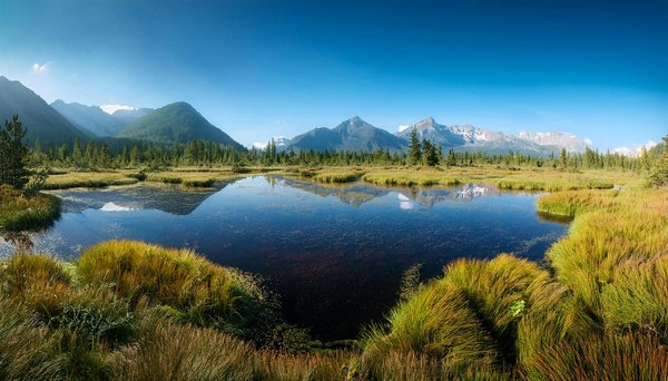 Les tendances dans les restaurants de camping